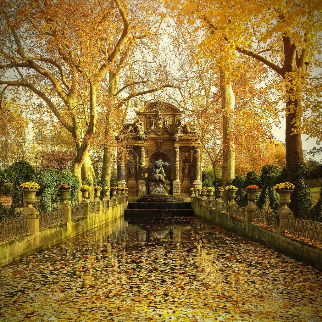 8. Jardin d’automne à Paris